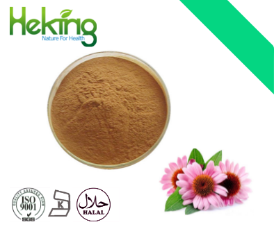 Echinacea extract