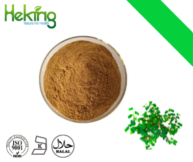 Cissus quadrangularis extract