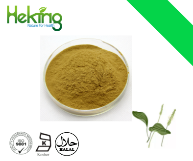 Plantain Extract