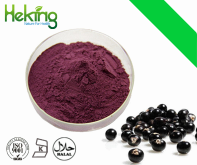 Acai berry extract/ Acai berry powder
