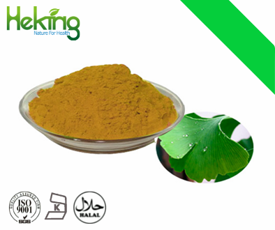 Ginkgo Biloba Extract