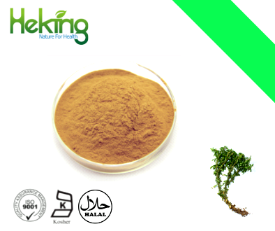 Huperzia serrata extract