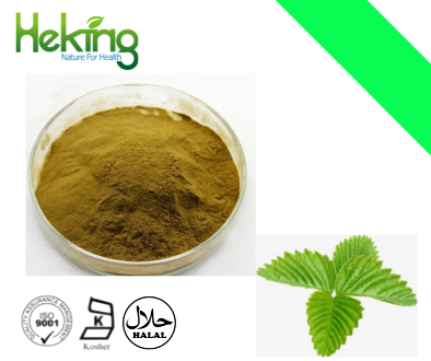 Mulberry leaf extract