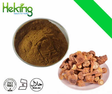 Agaricus Blazei Extract