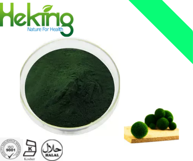Chlorella extract