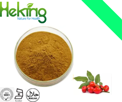 Rose hip extract