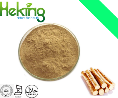 Burdock root extract