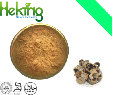 Magnolia officinalis extract