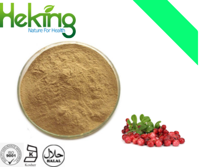 Lingonberry leaf extract