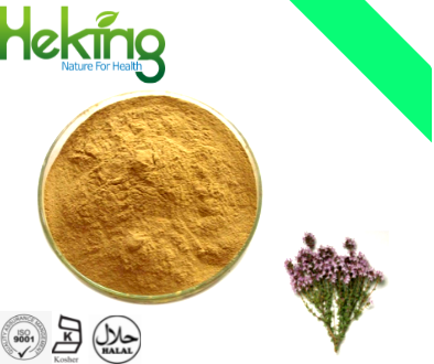 Thyme extract