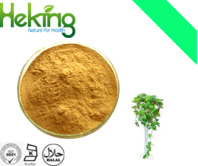 Cissus modecoides extract