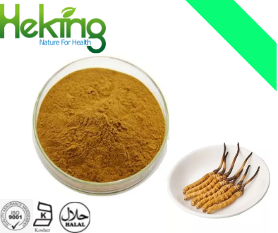 Cordyceps sinensis extract