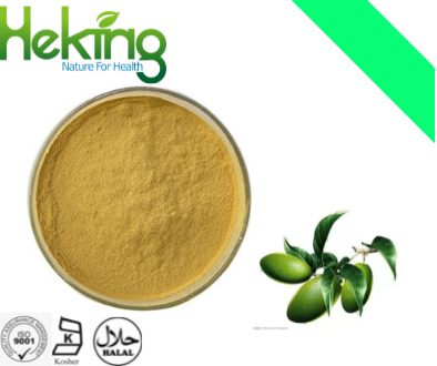 Olive leaf extract