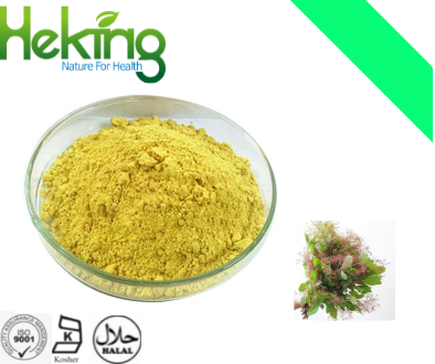 Smoke tree extract