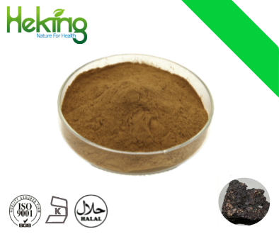 shilajit extract