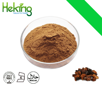 chaga mushroom extract