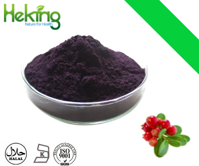 Bilberry Extract