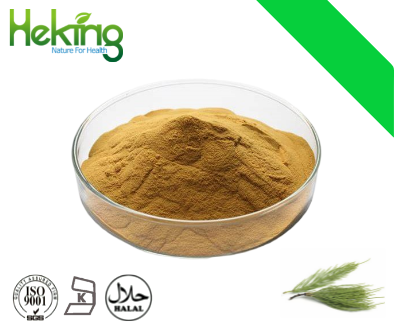 Horsetail Extract