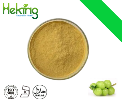 Fructus Phyllanthi Extract