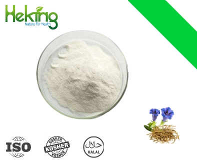 Chinese Gentian Root Extract